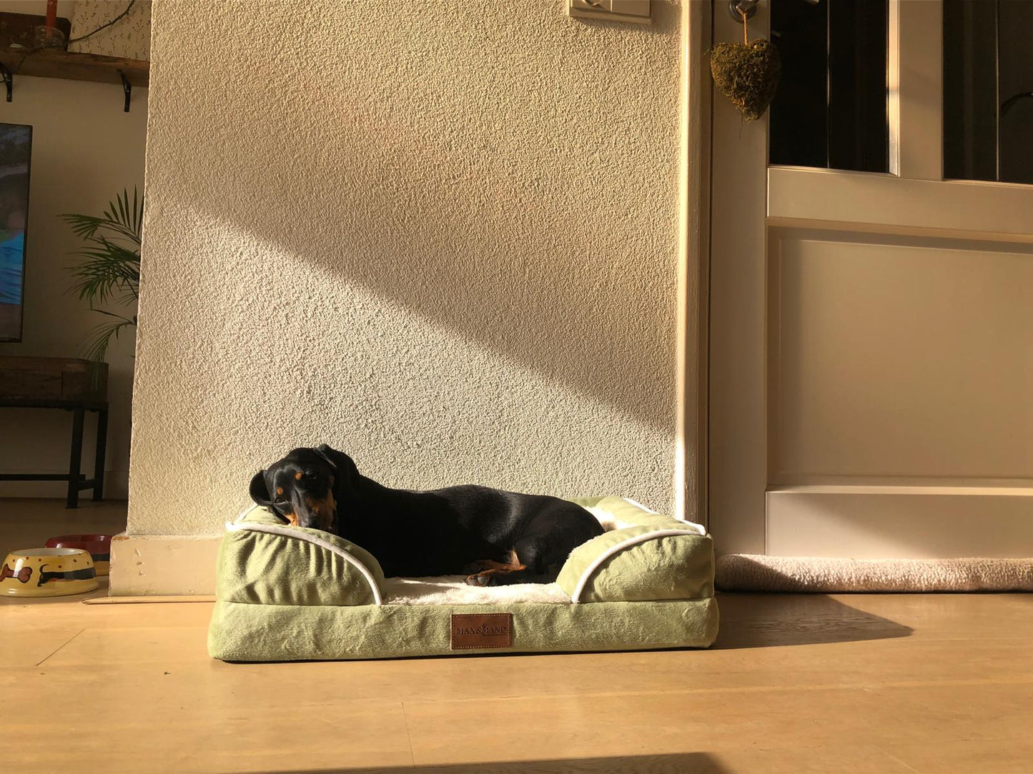 Max&Mand Orthopedische Hondenmand
