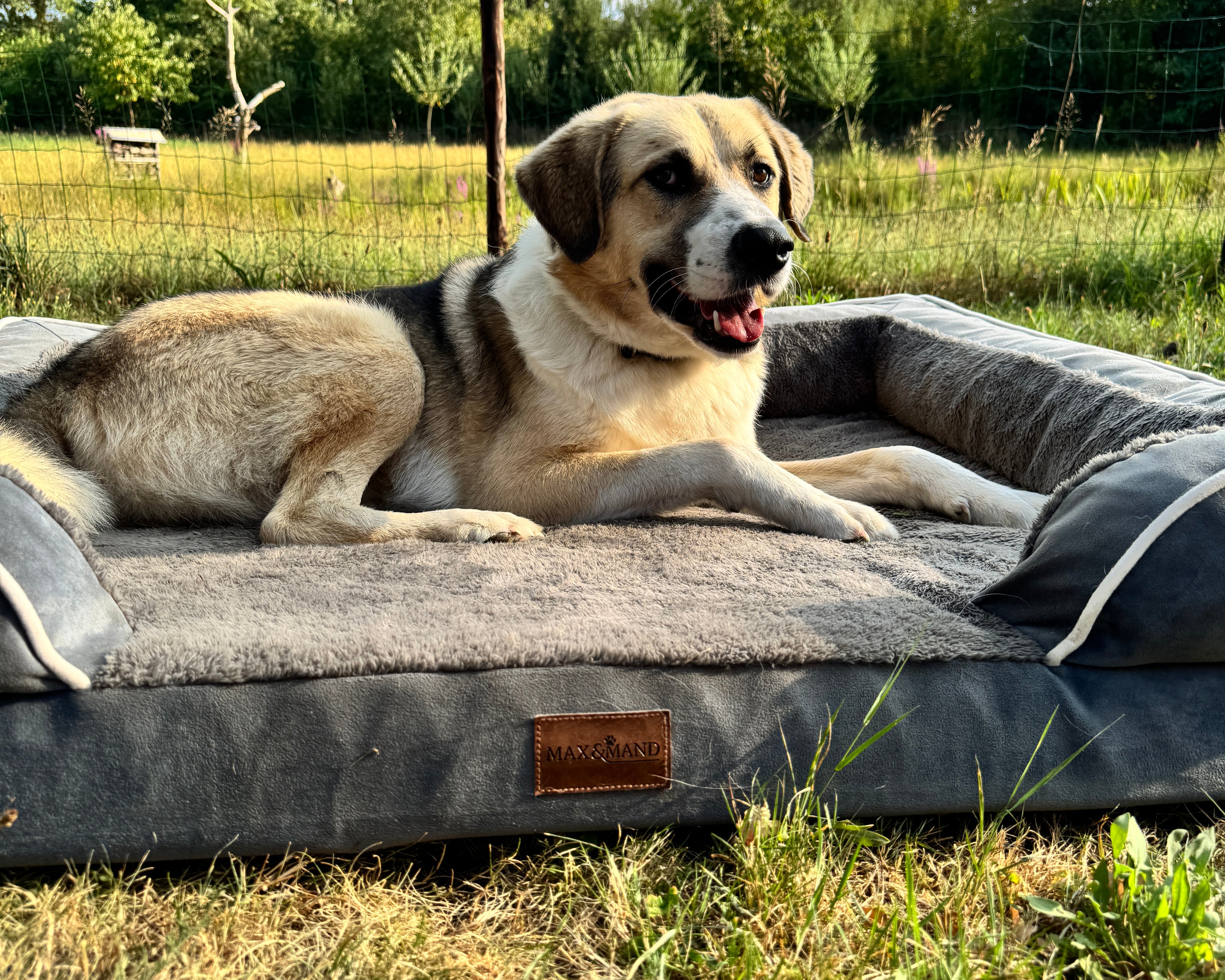 Max&Mand Orthopedische Hondenmand Donkergrijs