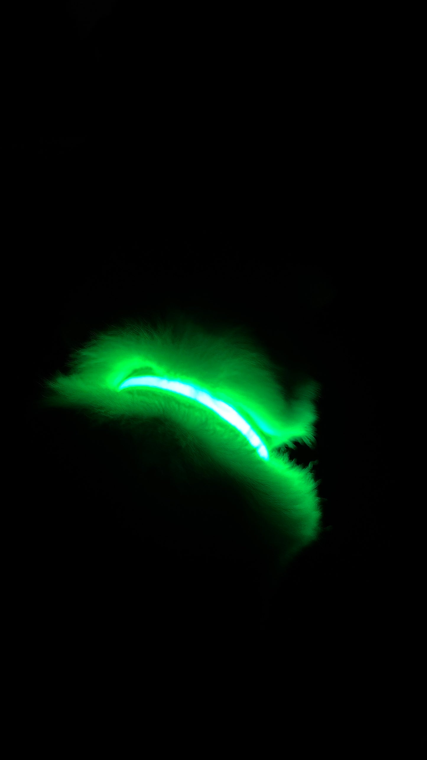 LED Halsband voor Honden – Veilig zichtbaar tijdens elke wandeling in het donker