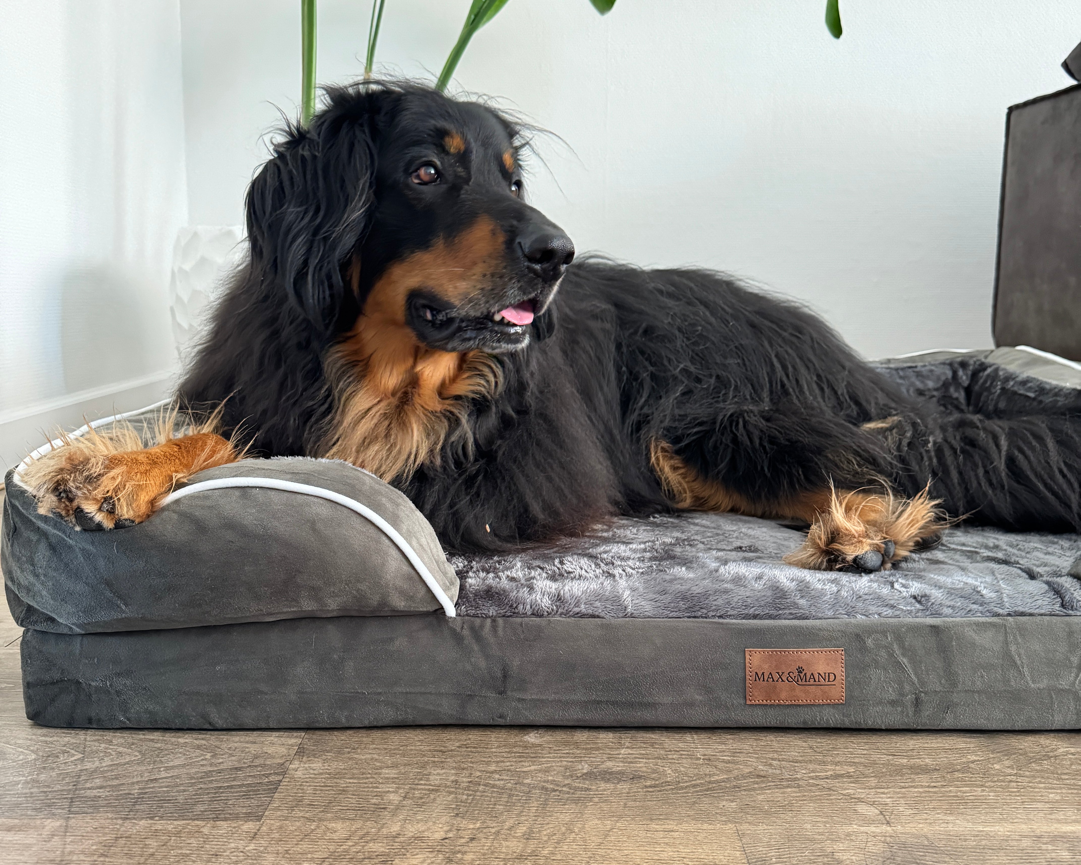 Max&Mand Orthopedische Hondenmand Donkergroen