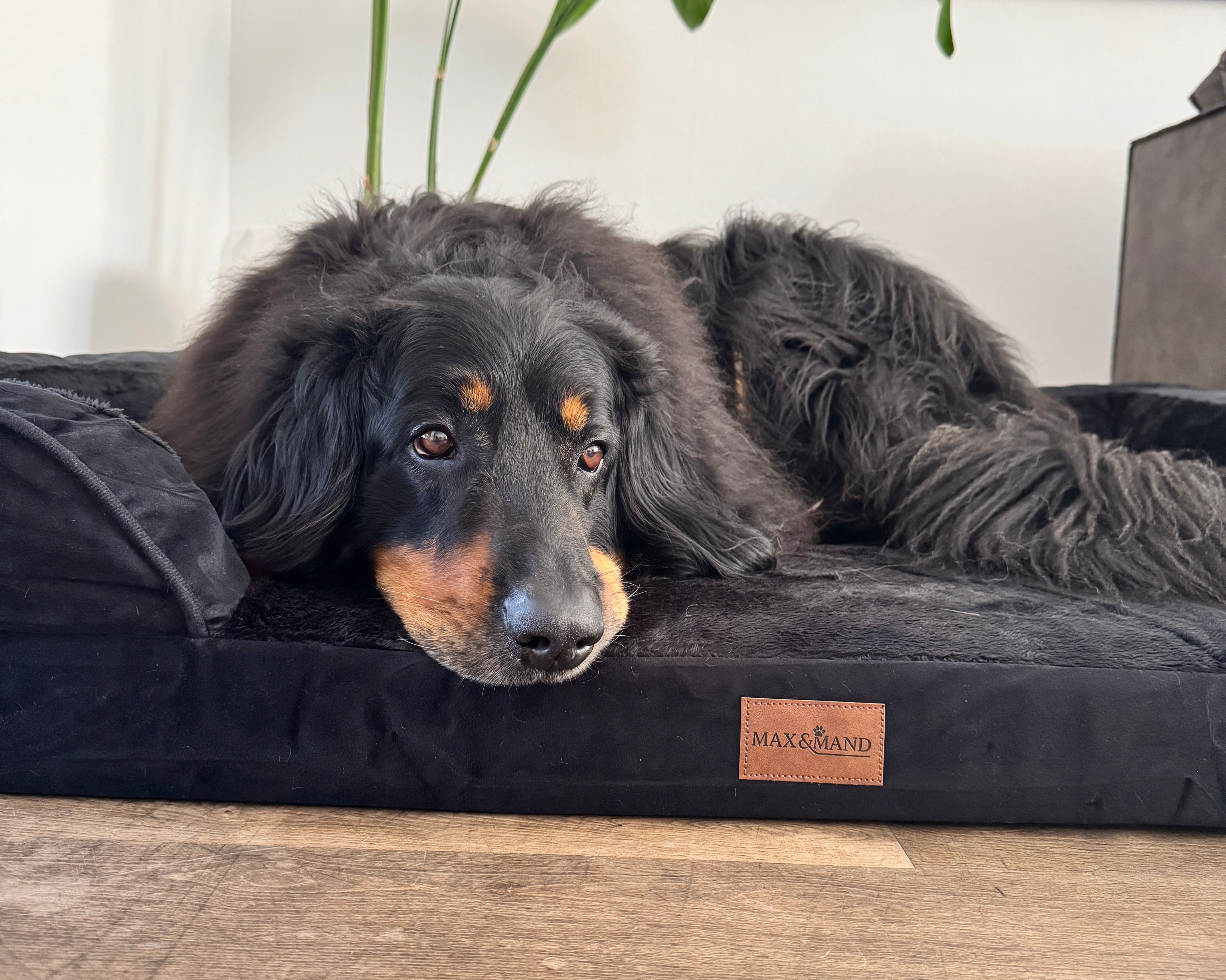 Max&Mand Orthopedische Hondenmand Zwart