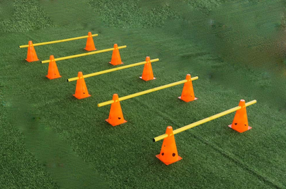 Agility Set voor Honden – Samen trainen, spelen en sterker verbinden