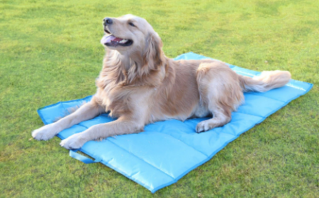 Verkoelmat voor Honden – Slimme verkoeling en ontspanning bij warm weer