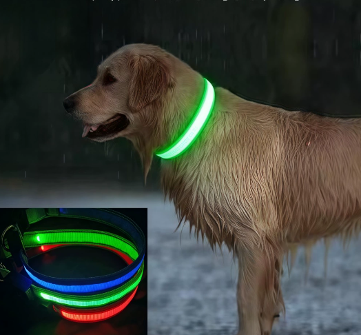 LED Halsband voor Honden – Veilig zichtbaar tijdens elke wandeling in het donker