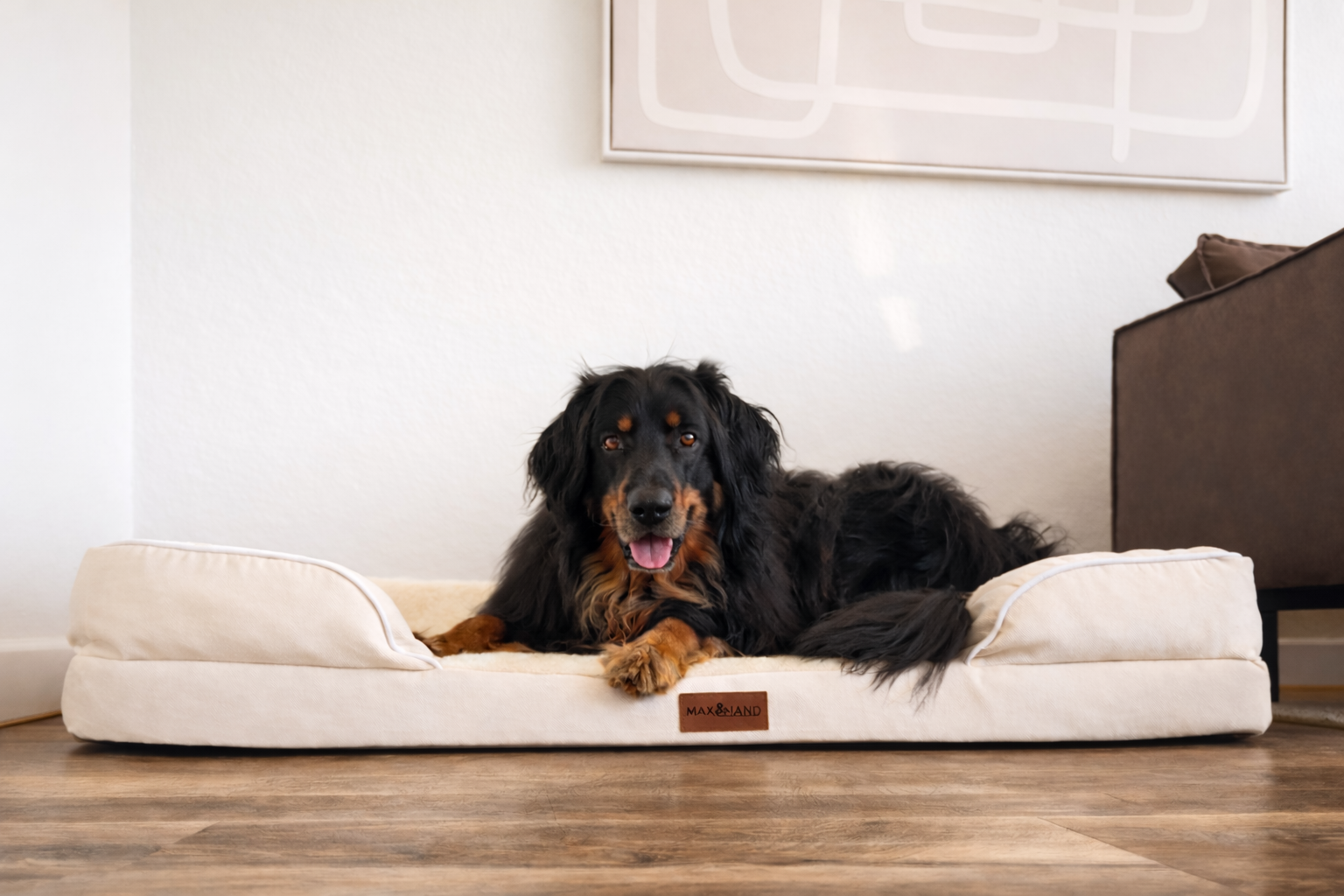Max&Mand beige hondenmand sfeerfoto met hond