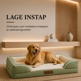 Lage instap groene hondenmand