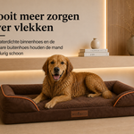 Afbeelding van dia