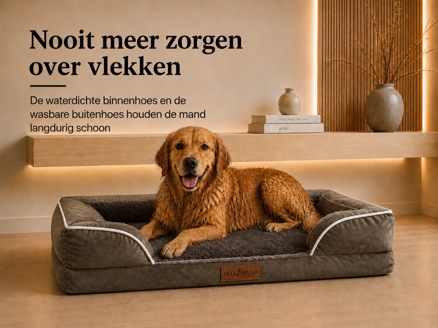 Afbeelding van dia