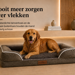 Afbeelding van dia