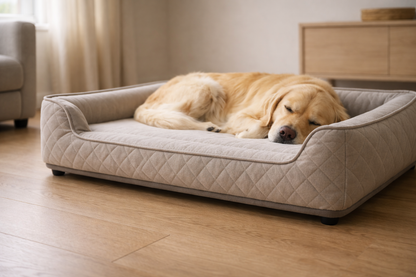 Orthopedisch hondenbed voor echte rust